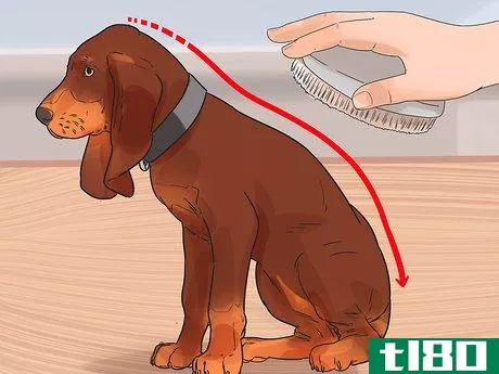 Image titled Groom a Thin Furred Dog Step 6