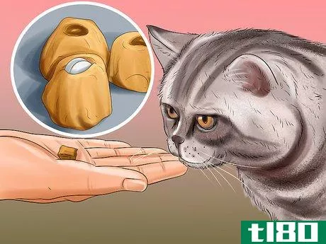 Image titled Give Gabapentin to Cats with Cancer Step 9