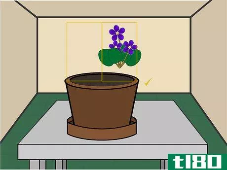 Image titled Grow African Violets Indoors Step 02