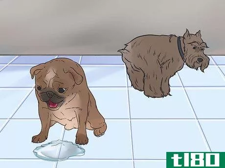 Image titled Give a Dog an Enema Step 6