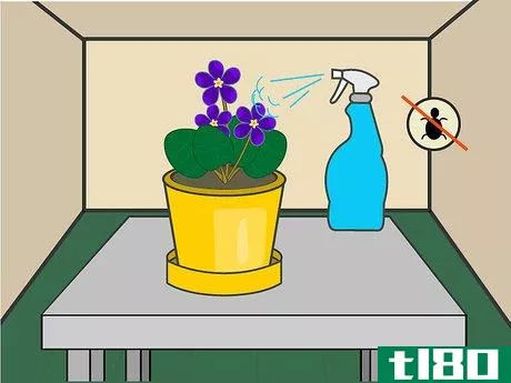 Image titled Grow African Violets Indoors Step 11