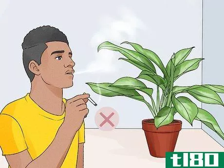 Image titled Grow Chinese Evergreens (Aglaonema) Step 14