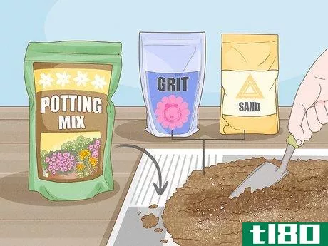 Image titled Grow Hoya Bella (Miniature Wax Plant) Step 6