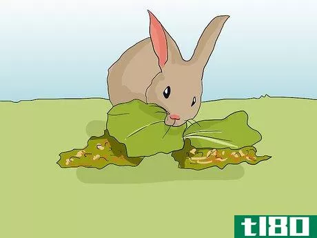 Image titled Help an Overweight Rabbit Lose Weight Step 5