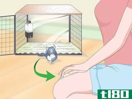 Image titled Help Your Chinchilla Adjust to its New Home Step 17