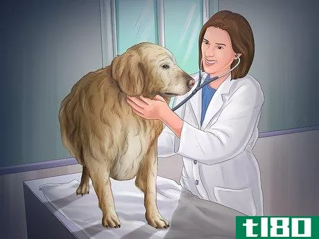 Image titled Help Your Dog After Giving Birth Step 1