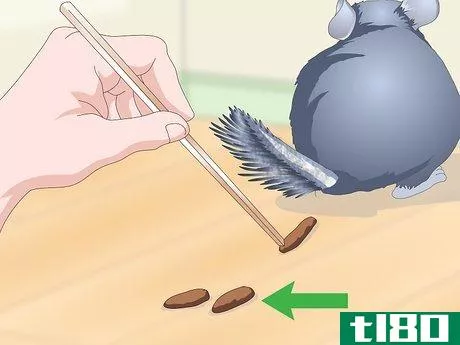 Image titled Help Your Chinchilla Adjust to its New Home Step 14