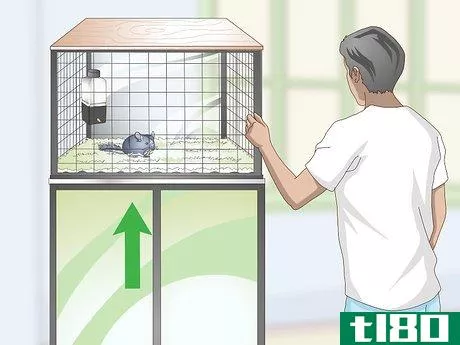 Image titled Help Your Chinchilla Adjust to its New Home Step 2