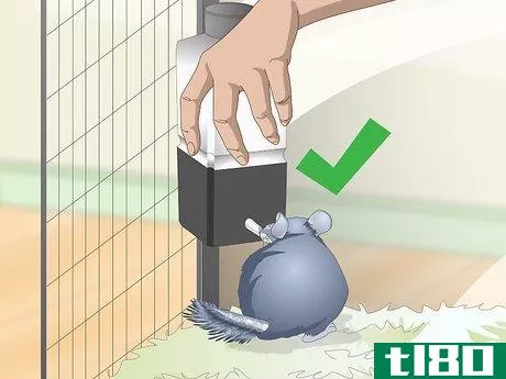 Image titled Help Your Chinchilla Adjust to its New Home Step 10