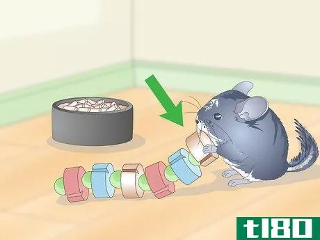 Image titled Help Your Chinchilla Adjust to its New Home Step 12