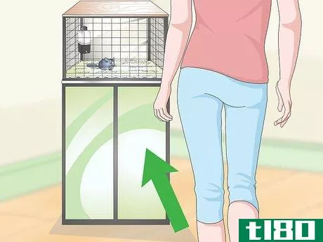 Image titled Help Your Chinchilla Adjust to its New Home Step 15