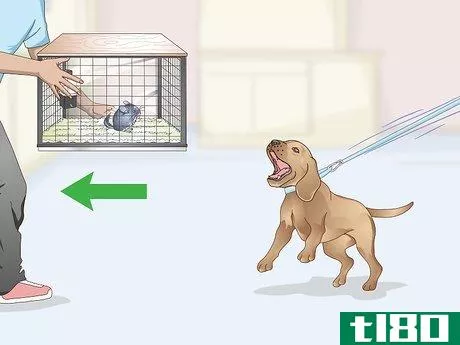 Image titled Help Your Chinchilla Adjust to its New Home Step 5