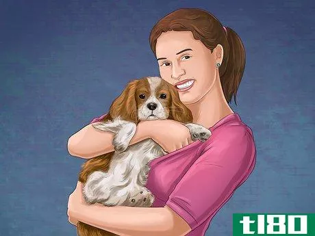 Image titled Help Your Dog After Giving Birth Step 23