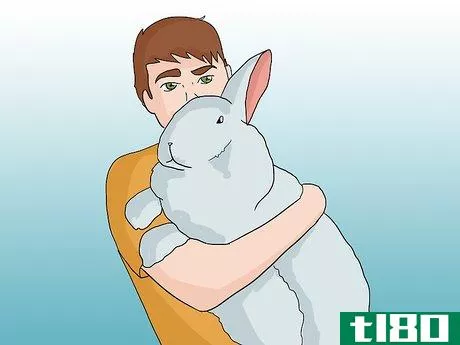 Image titled Help an Overweight Rabbit Lose Weight Step 2