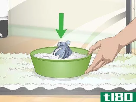 Image titled Help Your Chinchilla Adjust to its New Home Step 8