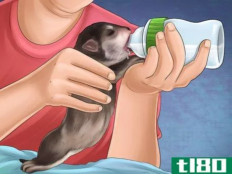 Image titled Help Your Dog After Giving Birth Step 20
