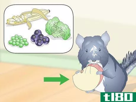 Image titled Help Your Chinchilla Adjust to its New Home Step 11