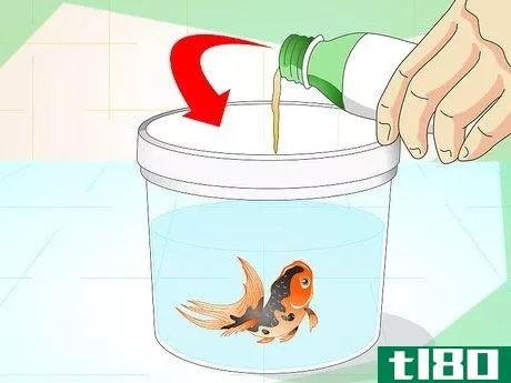 Image titled Identify Aquarium Fish Diseases Step 7