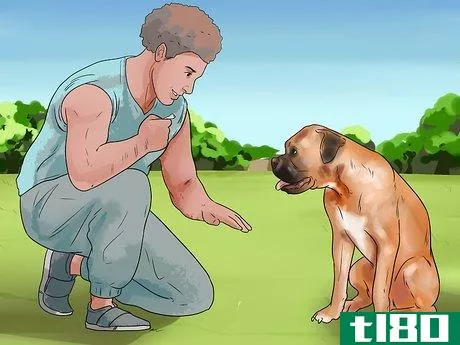 Image titled Train a Boxer Dog Step 7