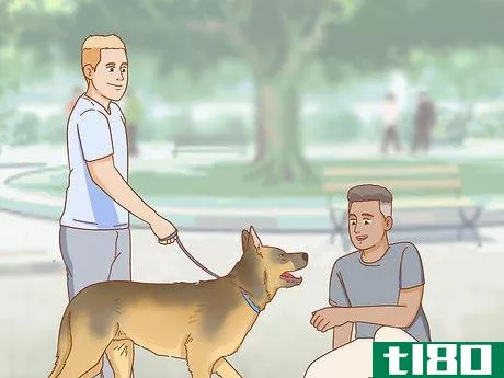 Image titled Keep a Dog in Good Health Step 13