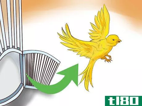 Image titled Keep a Canary Entertained Step 7