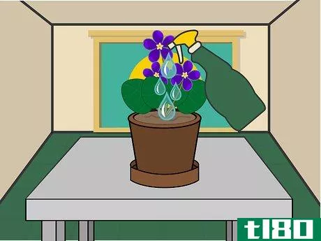 Image titled Grow African Violets Indoors Step 06