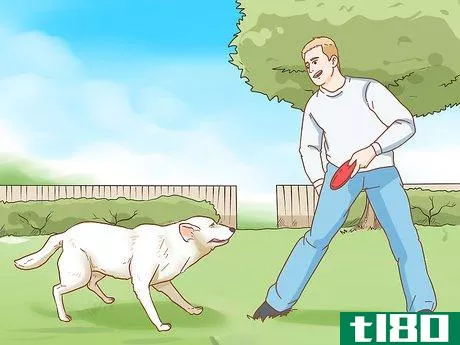 Image titled Keep a Dog in Good Health Step 12
