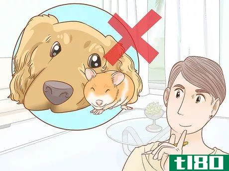 Image titled Keep a Hamster and a Dog Step 12