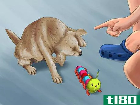 Image titled Keep Kids’ Toys Away from Dogs Step 5