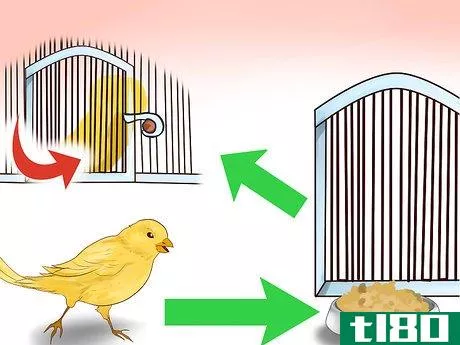Image titled Keep a Canary Entertained Step 9
