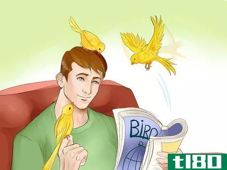 Image titled Keep a Canary Entertained Step 8