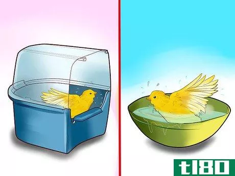 Image titled Keep a Canary Entertained Step 5