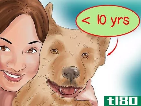 Image titled Know if a Senior Dog Is Right for Your Family Step 6