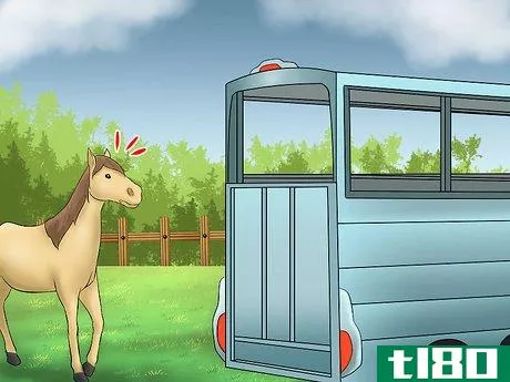 Image titled Load a Horse on a Trailer Step 10