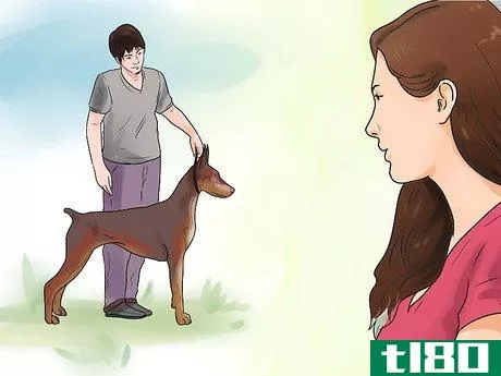 Image titled Learn Breeds of Dogs Step 15