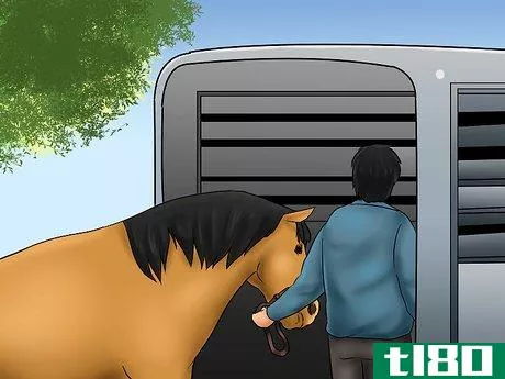 Image titled Load a Horse on a Trailer Step 3