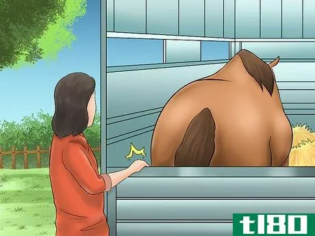 Image titled Load a Horse on a Trailer Step 6