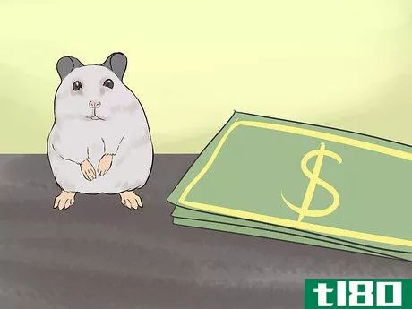 Image titled Know if a Hamster Is Right for You Step 1