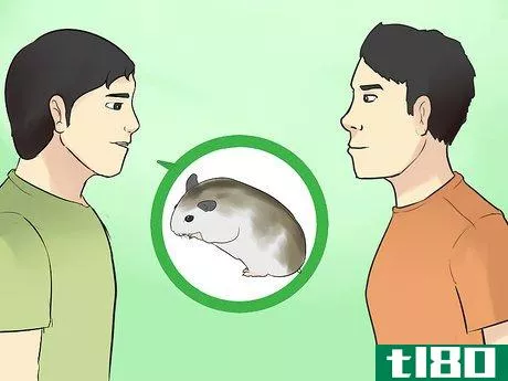 Image titled Know if a Hamster Is Right for You Step 7