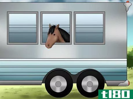 Image titled Load a Horse on a Trailer Step 17