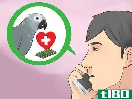 Image titled Know if an African Grey Parrot Is Right for You Step 16