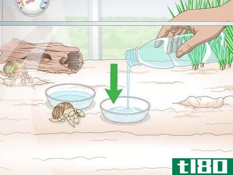 Image titled Maintain Humidity in a Pet Hermit Crab Habitat Step 7