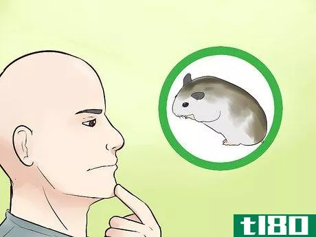 Image titled Know if a Hamster Is Right for You Step 3
