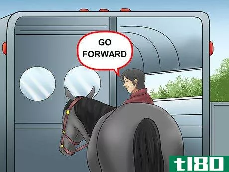 Image titled Load a Horse on a Trailer Step 4