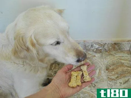 Image titled Make Grain Free Dog Treats Step 9