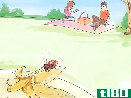 Image titled Deter Bees Step 10