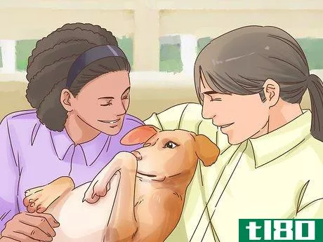 Image titled Introduce Your Dog to Your Partner Step 5