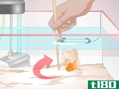 Image titled Make a Goldfish More Interesting Step 3