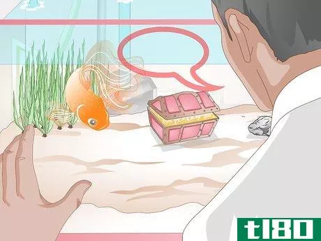 Image titled Make a Goldfish More Interesting Step 10