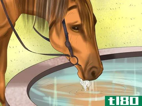 Image titled Make a Salt Lick for Horses Step 11